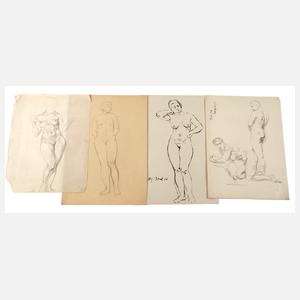 Konvolut Aktdarstellungen