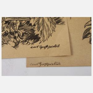 Curt Großpietsch, Konvolut Pflanzendarstellungen