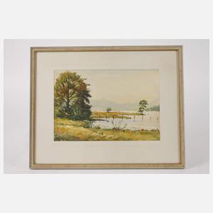 Emanuel Hehn, Motive vom Wolfgangsee