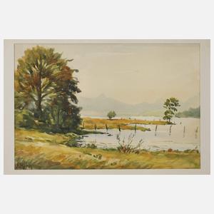 Emanuel Hehn, Motive vom Wolfgangsee