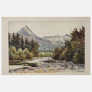 Emanuel Hehn, Motive vom Wolfgangsee