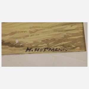 H. Hofmann, Drei Aquarelle