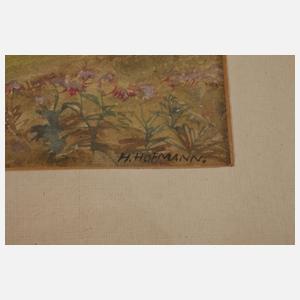H. Hofmann, Drei Aquarelle