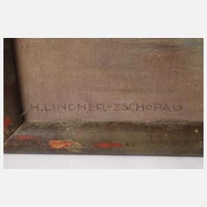 Hans Lindner, Schloss Wildeck