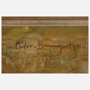 Carl Müller-Baumgarten, Feldblumenstrauß