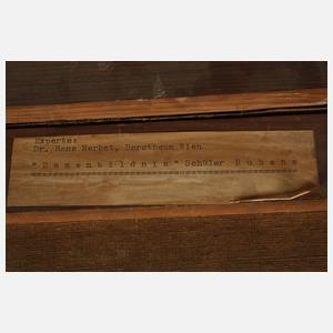 nach Anthonis van Dyck, Amalie zu Solms-Braunfels