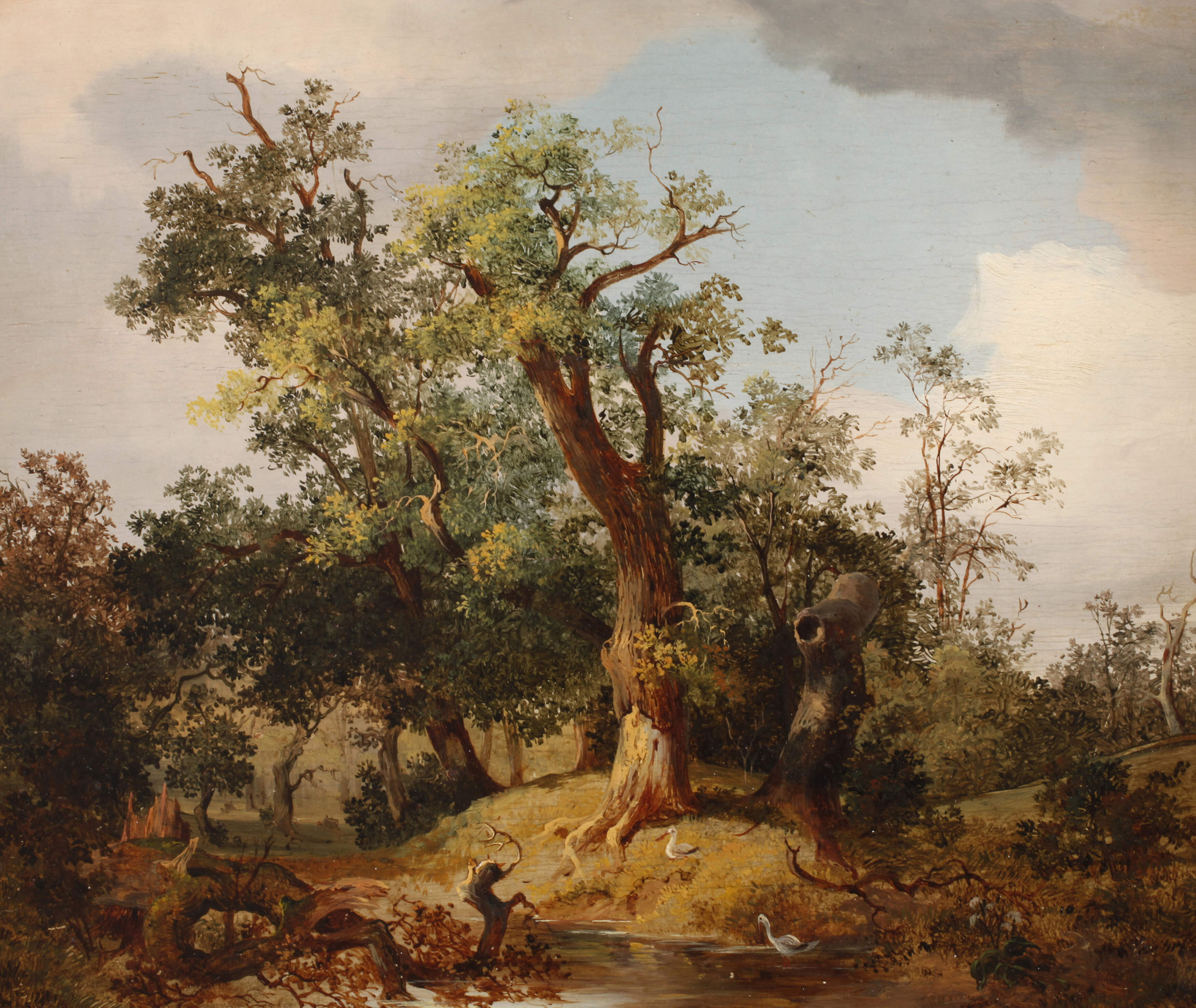 Joseph Brunner, Laubwald mit Weiher