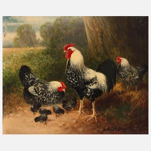 Otto Scheuerer, Hühnerfamilie