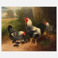 Otto Scheuerer, Hühnerfamilie111