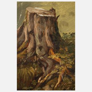 Friedrich Voltz, Studie eines Baumstumpfs