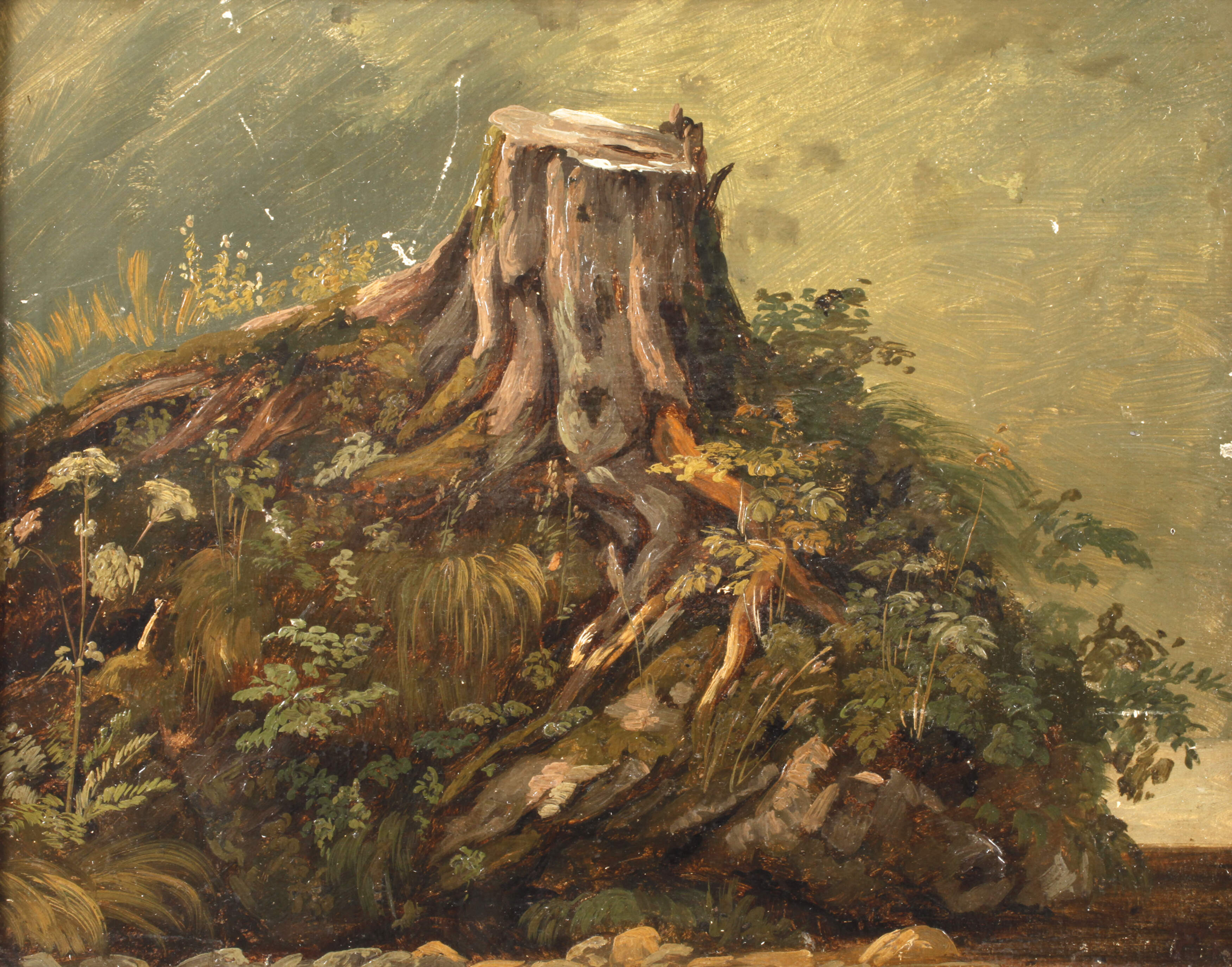 Friedrich Voltz, Studie eines Baumstumpfs