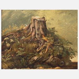 Friedrich Voltz, Studie eines Baumstumpfs