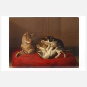 Katzenmutter mit Jungen