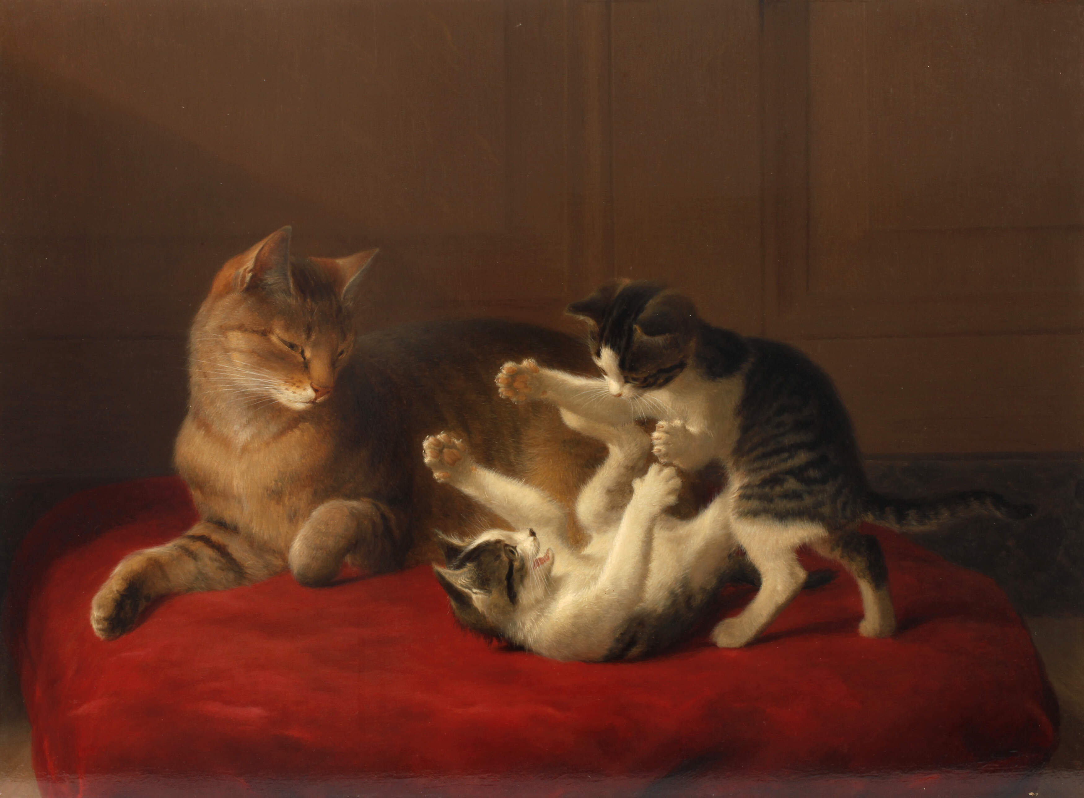 Katzenmutter mit Jungen