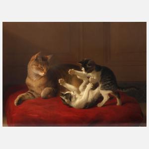 Katzenmutter mit Jungen