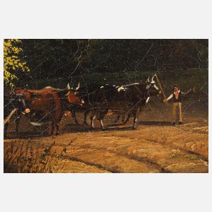 Der Staubbachfall im Lauterbrunnental