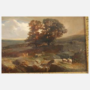 Hügelige Landschaft mit aufziehendem Gewitter