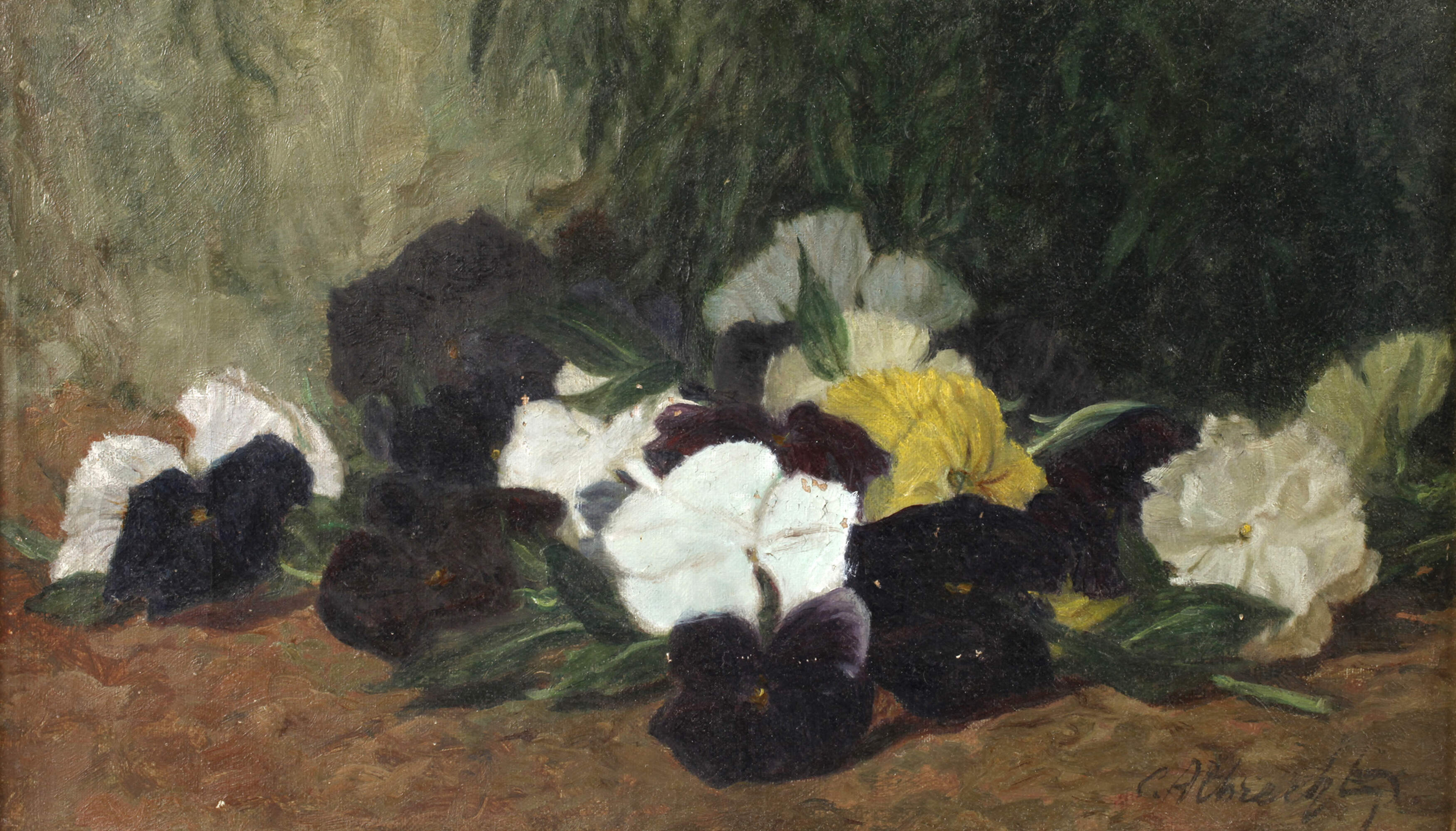 Karl Albrecht, Stiefmütterchen