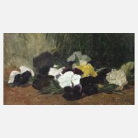 Karl Albrecht, Stiefmütterchen111