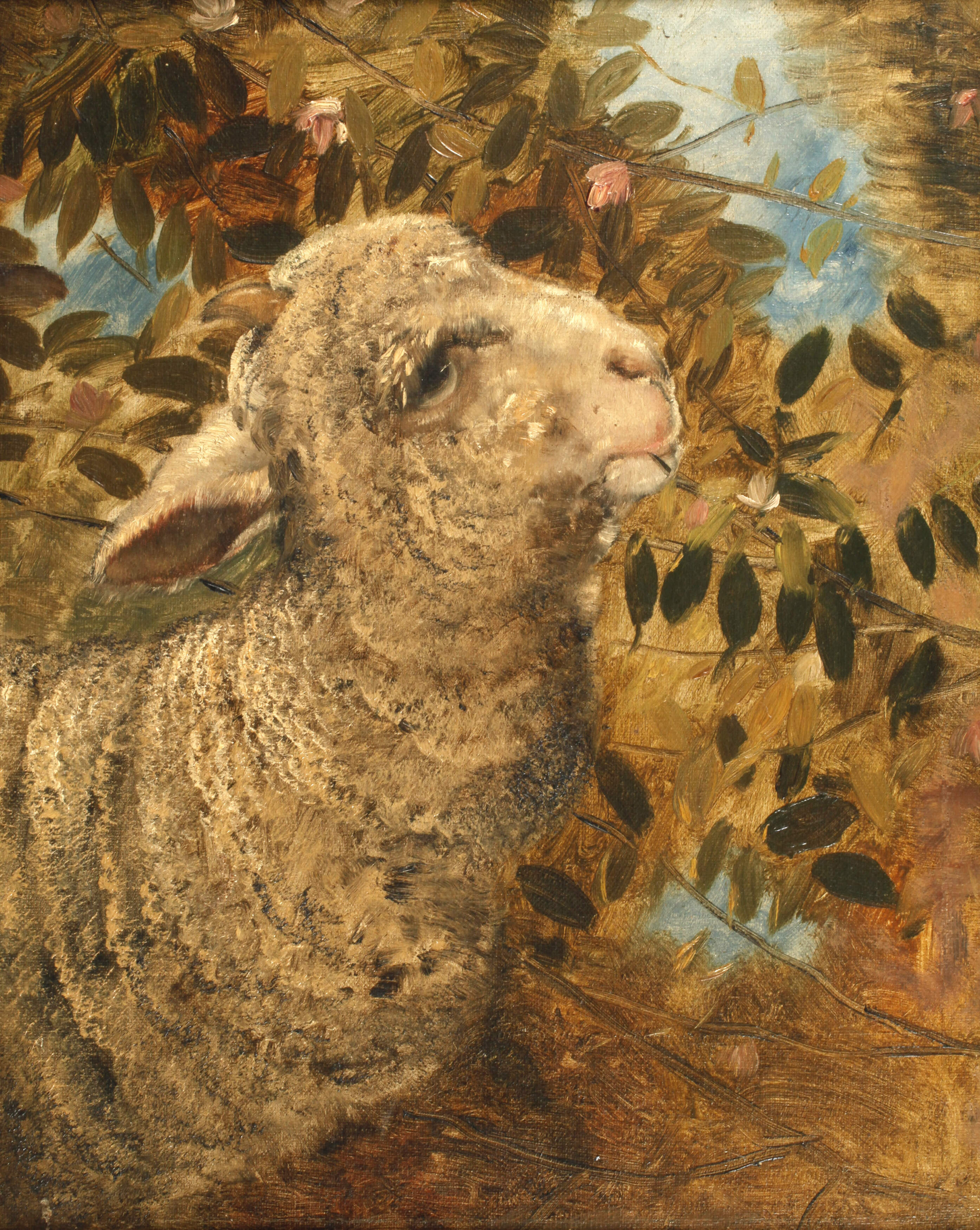 Arpad Bálint, Lamm in Frühlingslandschaft