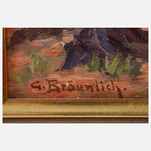 Hans Georg Bräunlich, Altstadtblick