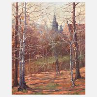 Hans Georg Bräunlich, Altstadtblick111