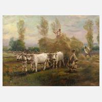 Károly Cserna, Heuernte111