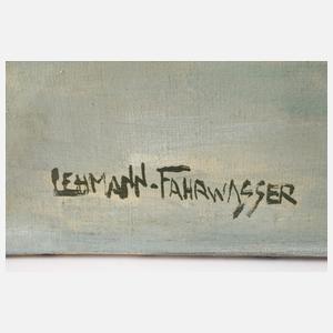 Georg Lehmann-Fahrwasser, Boote