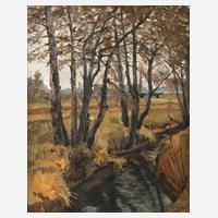 Erwin Merz, Bäume am Bachlauf111