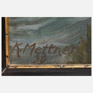 K. Mettner, Kiefer im Gebirge