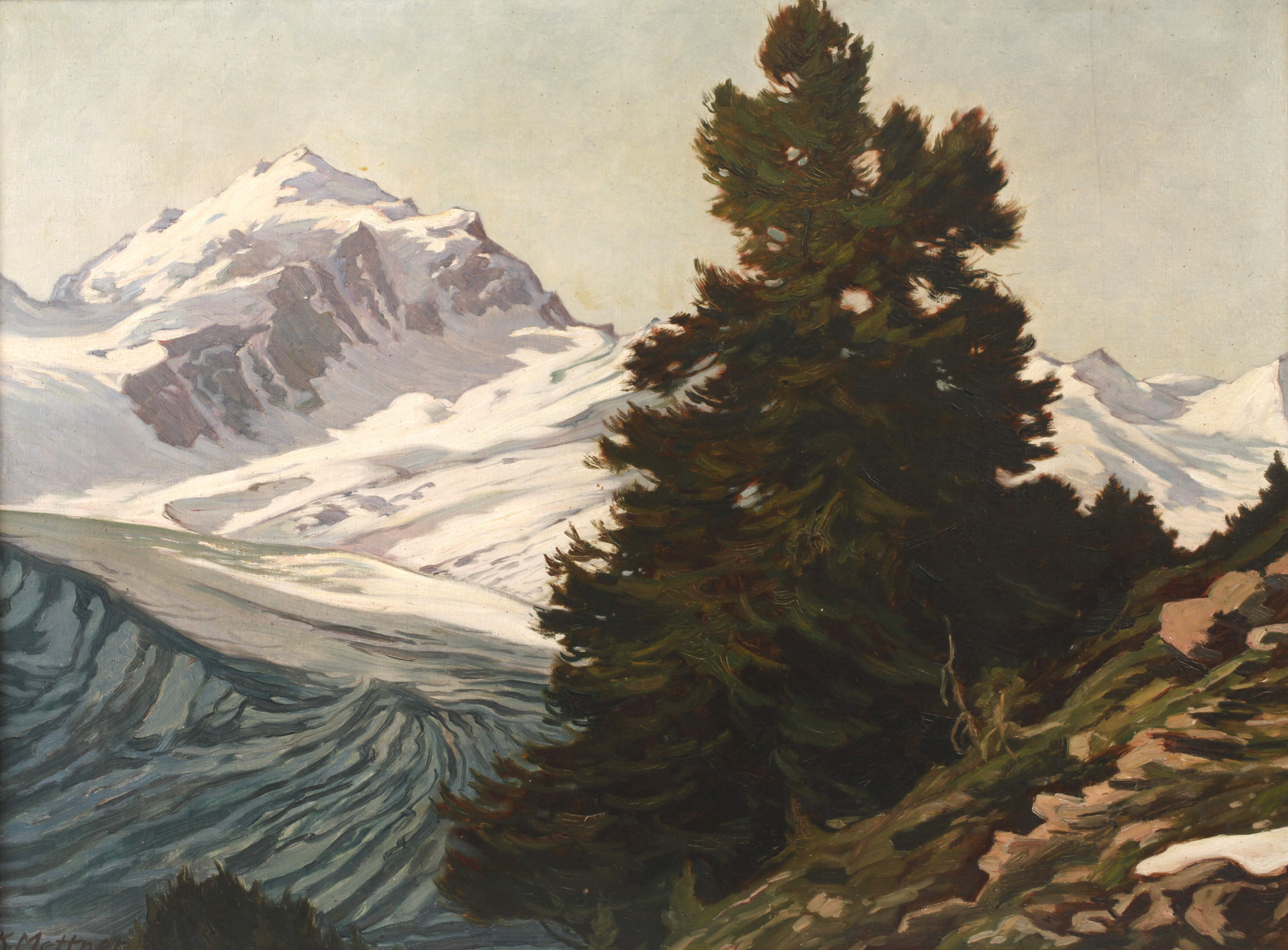 K. Mettner, Kiefer im Gebirge