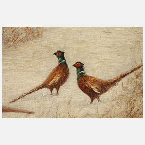 A. Mötsch, Fasane in Winterlandschaft