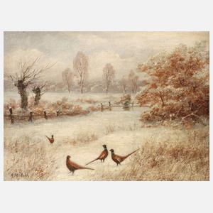 A. Mötsch, Fasane in Winterlandschaft