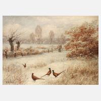 A. Mötsch, Fasane in Winterlandschaft111