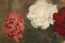 Léon Noireaut, attr., Nelkenstillleben
