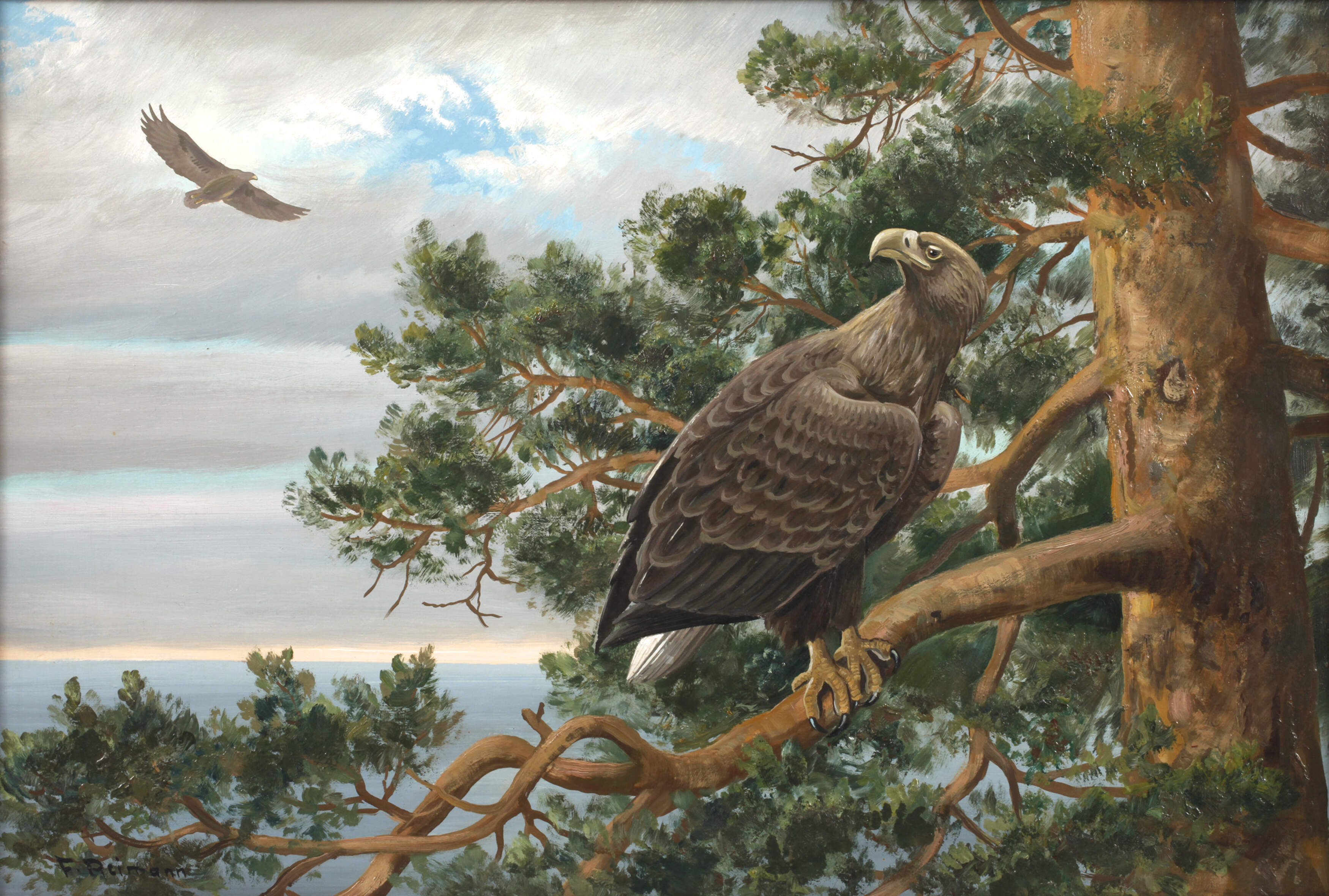 Friedrich Reimann, Seeadler im Geäst