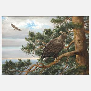 Friedrich Reimann, Seeadler im Geäst