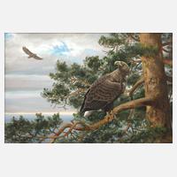 Friedrich Reimann, Seeadler im Geäst111
