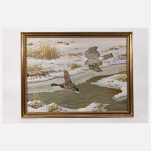 Friedrich Reimann, Habicht eine Stockente jagend