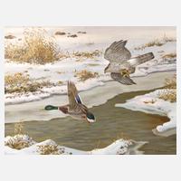 Friedrich Reimann, Habicht eine Stockente jagend111