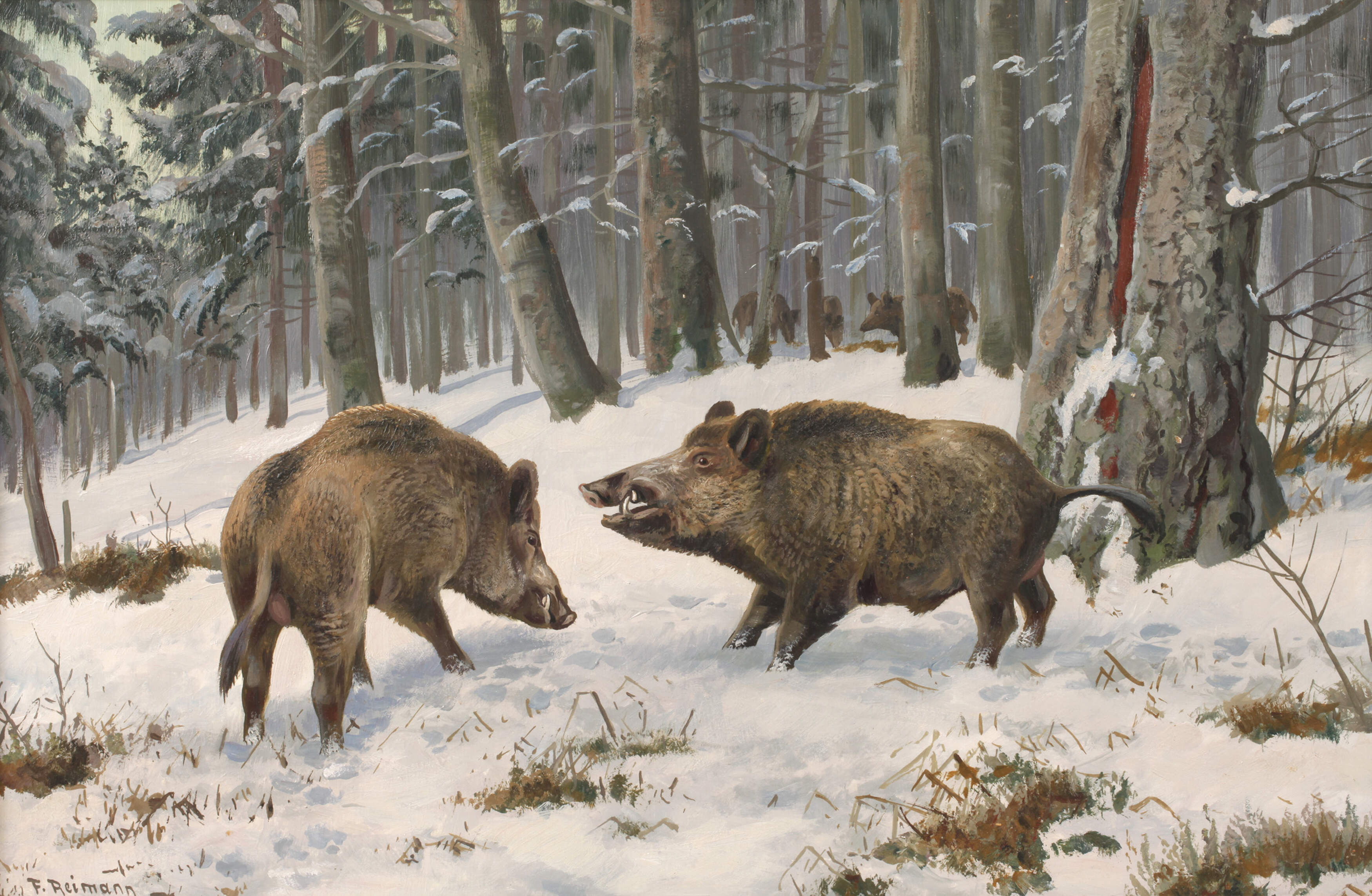Friedrich Reimann, Wildschweine im Winterwald