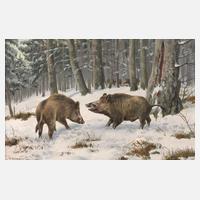 Friedrich Reimann, Wildschweine im Winterwald111