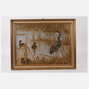 Friedrich Reimann, Wasservögel im Schilf