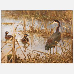 Friedrich Reimann, Wasservögel im Schilf