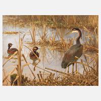 Friedrich Reimann, Wasservögel im Schilf111