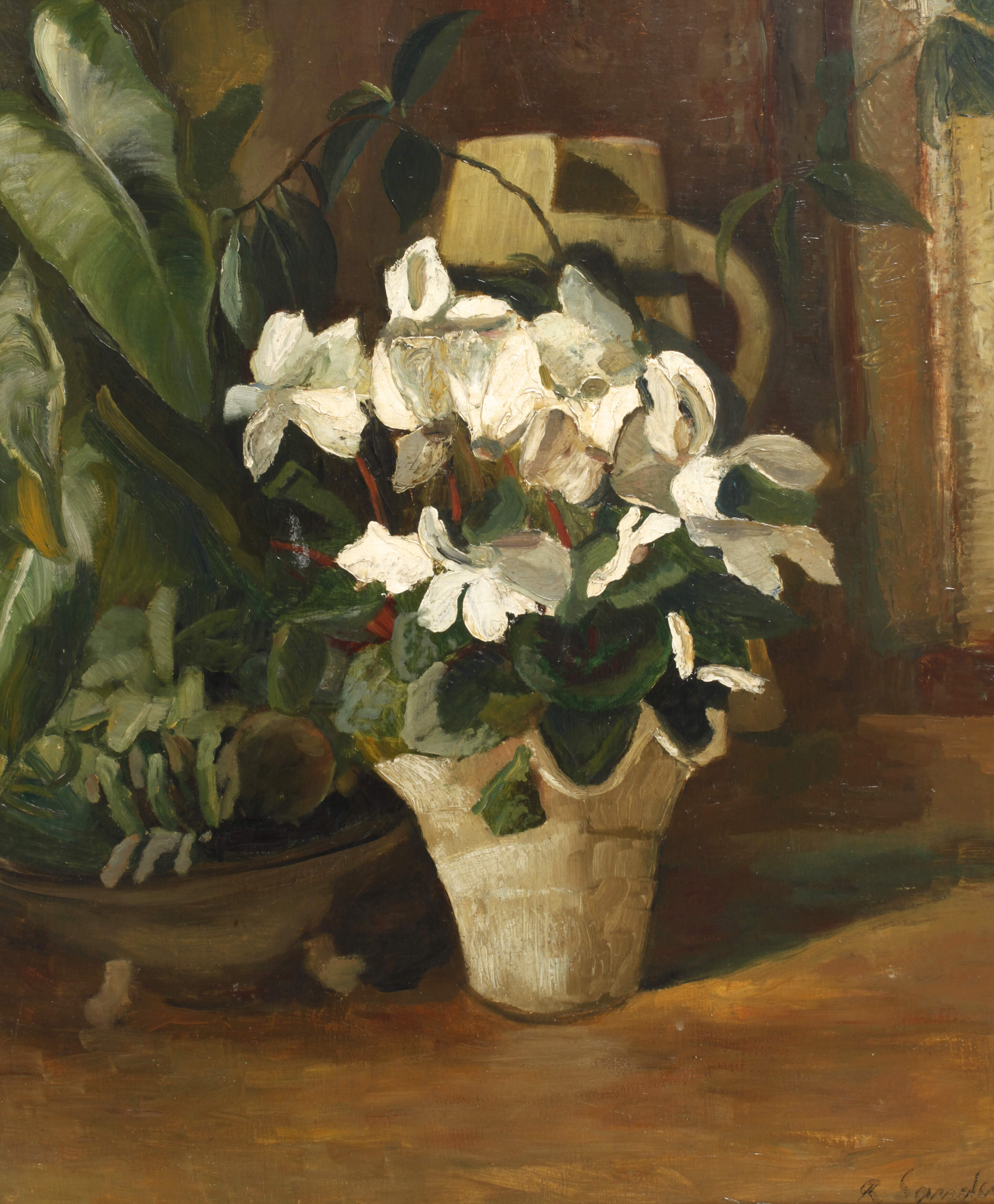 Richard Sander, Weiße Alpenveilchen