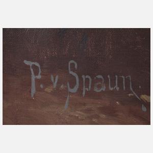 Paul von Spaun, Wachturm am Meer