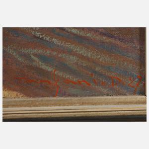 Desiderio Tanfani, Ungarisches Ochsenfuhrwerk