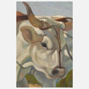 Desiderio Tanfani, Ungarisches Ochsenfuhrwerk