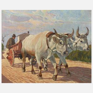 Desiderio Tanfani, Ungarisches Ochsenfuhrwerk